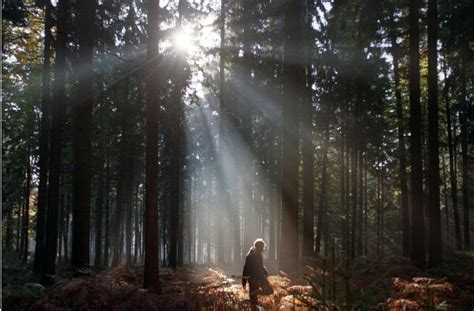 Wir haben hier ein futterhäuschen für vögel im winter gebaut, was ein wirkliches highlight war. Veranstaltung im Haus des Waldes: Der Wald als Fotomodell ...