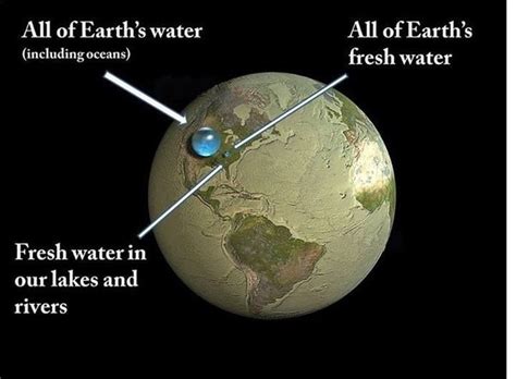 In contrast, the concept of bitcoin is. Why is so little of Earth's water available for human use ...