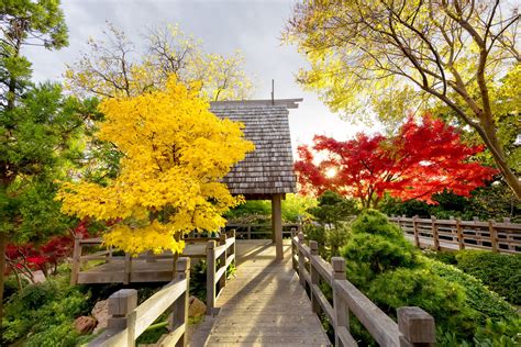The Fort Worth Japanese Garden Fort Worth Botanic Garden