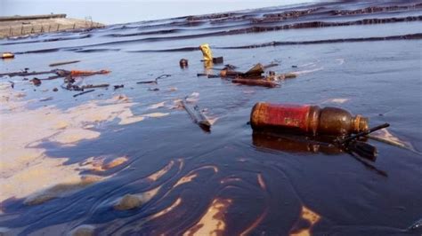 Pencemaran Tumpahan Minyak Di Teluk Balikpapan Sudah Tiga Hari Kami