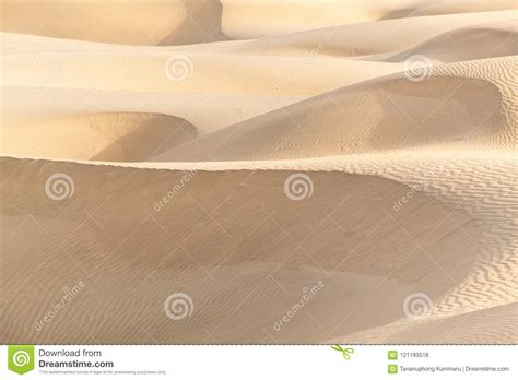 Beautiful Sand Dune In Thar Desert Stock Photo Image Of Desert