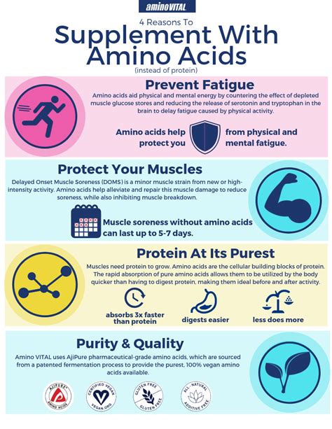 Amino Acid Infographic