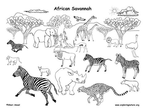 African Animals Savanna Coloring Page