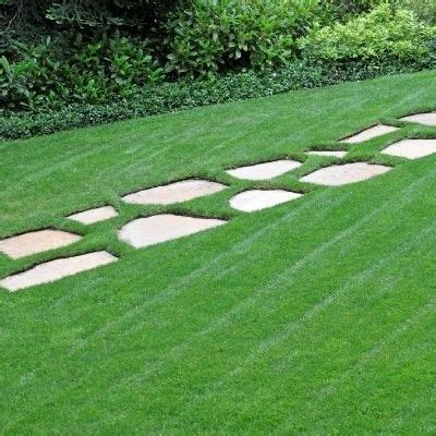 It also help lawns damaged by a lack of water, heavy foot traffic and heat. Overseeding: A Key to Beautiful Lawns || This is an awesome article on overseeding! It has ...