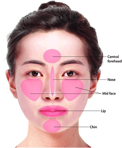 Image Of A Chinese Face Which Is Divided Into The Anterior Frontal And