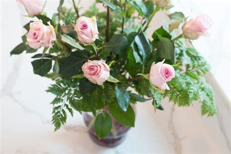 How To Arrange Your Valentines Roses In A Vase Merrifield Garden Center
