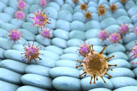 What you need to know Human Coronavirus 229E Nucleoprotein - The Native Antigen ...