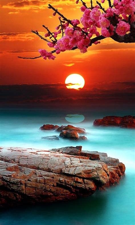 Amazing Sunset Artgardens Pinterest Beautiful Nature Beautiful