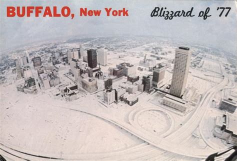 Blizzard Of 77 Buffalo Ny Mickey Osterreicher Postcard