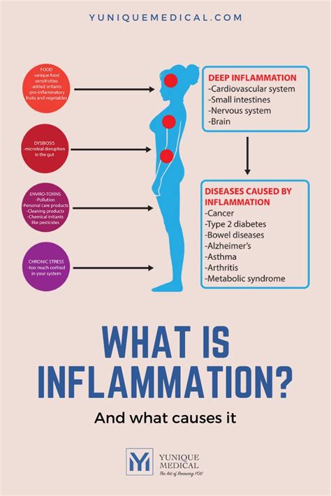 The Signs and remedies of Inflammation What Causes Inflammation and