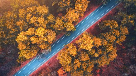 1600x900 Resolution Forest Road Photography Aerial 4k 1600x900
