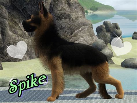 The Sims Resource Spike Long Hair German Shepherd