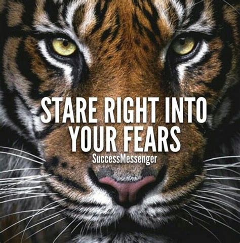 Pin By Eugene Davidson On She Is Strong Tiger Quotes Positive Quotes For Life Motivation