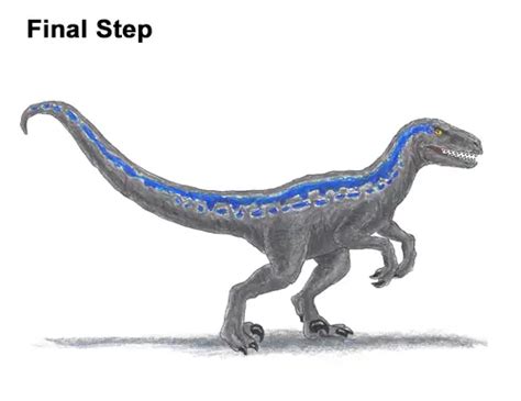 How To Draw Blue Velociraptor Jurassic Wolrd Video And Step By Step Pictures