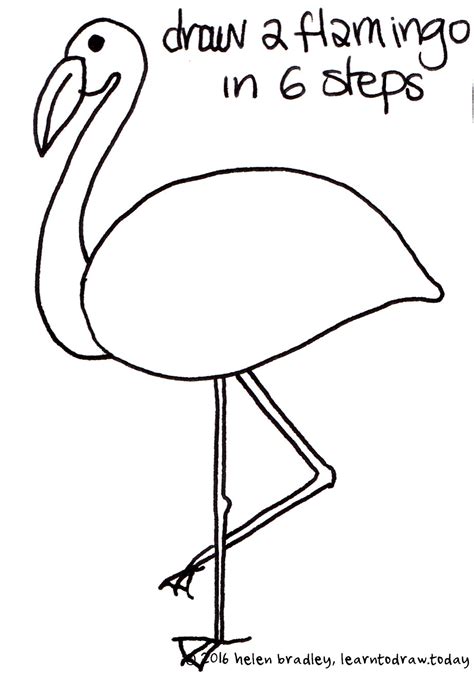 Learn To Draw A Flamingo In 6 Steps Learn To Draw