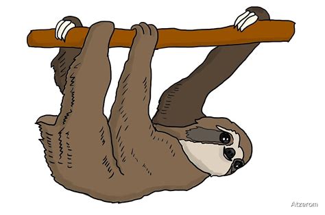 Hanging Sloth Cartoon Pics Hanging Sloth Sloth