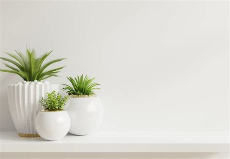 Free Photo Mockup Wall With Plants On Shelf