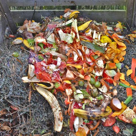 Compost How To Use It And Benefits For Plants Soil Biodiversity In