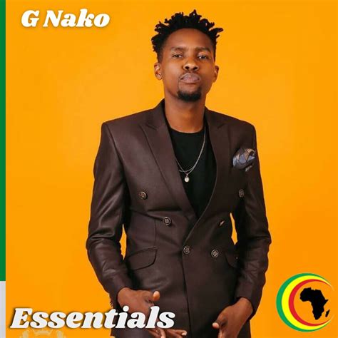 G Nako Essentials Playlist Afrocharts