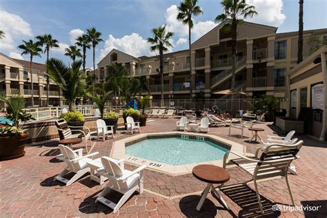 Sonesta Es Suites Orlando Lake Buena Vista Pool Pictures And Reviews