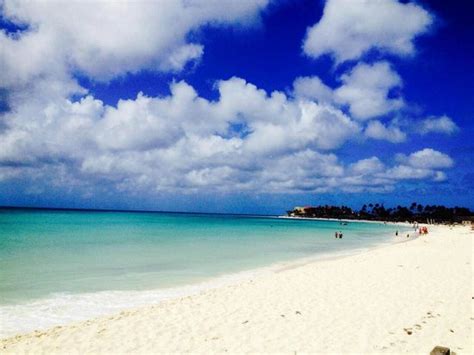 Druif Beach Picture Of Tamarijn Aruba All Inclusive Oranjestad