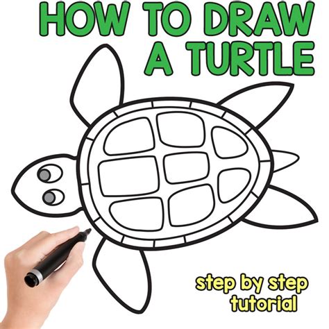 How To Draw A Green Sea Turtle Step By Step Easy