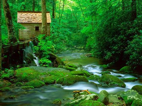 Great Smoky Mountain National Park Tennessee Usa