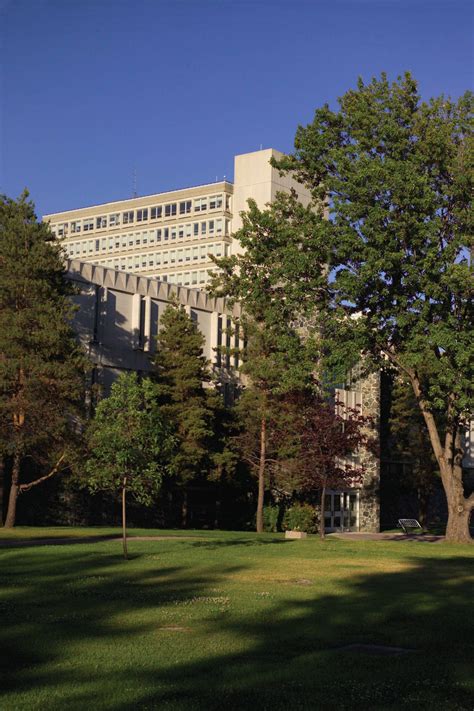 Laurentian University under fire for hiring of aboriginal ...
