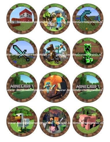 Eetbare Print Minecraft Cupcakes Cm