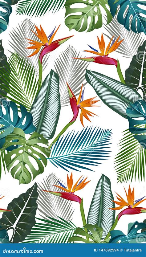 Seamless Pattern With Bird Of Paradise Tropical Leavespalms Monstera