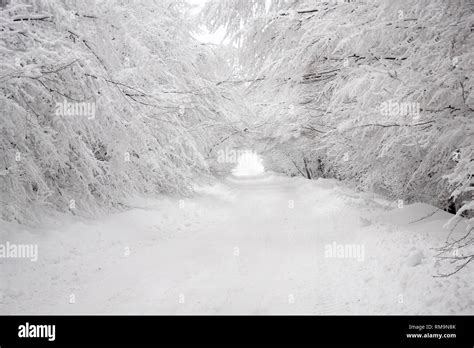 Tunnel Effect High Resolution Stock Photography And Images Alamy