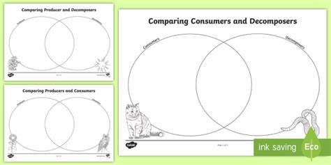 Consumers Producers And Decomposers Venn Diagram