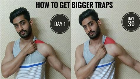 How To Get Bigger Traps In 30 Days 3 Exercises For Bigger Traps