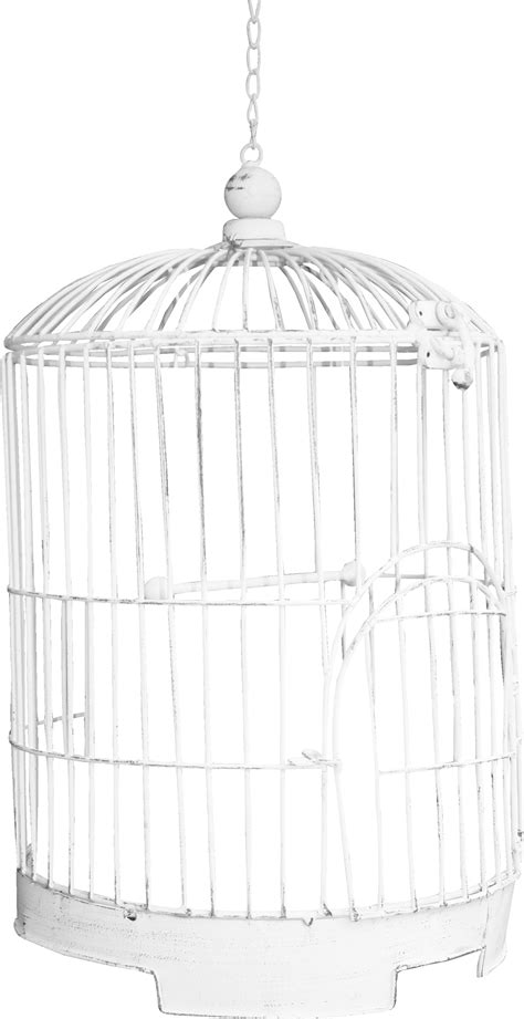 Picsart Background, Png Photo, Bird Cage, Free Png, Png Images, Pet
