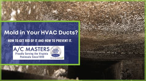Mold In Your Hvac Ducts How To Get Rid Of It And How To Prevent It