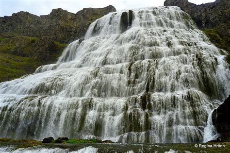 The Magnificent Dynjandi Waterfall The Jewel Of The Wes