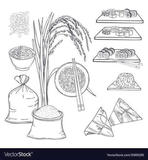 Hand Drawn Rice Set Sketch Royalty Free Vector Image