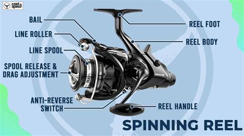 Types Of Fishing Reels Complete Guide