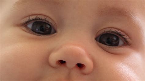 Eyes And Little Nose Of Baby By Christianfletcher Videohive