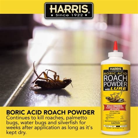 Boric Acid Roaches Control How To Get Rid Of Roaches Effectively