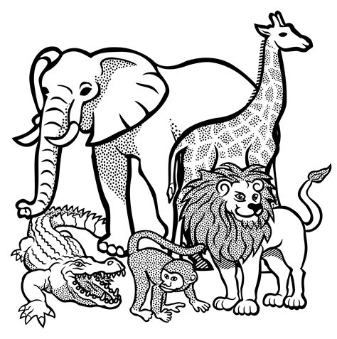 African Animals Lineart Zoo Animal Coloring Pages