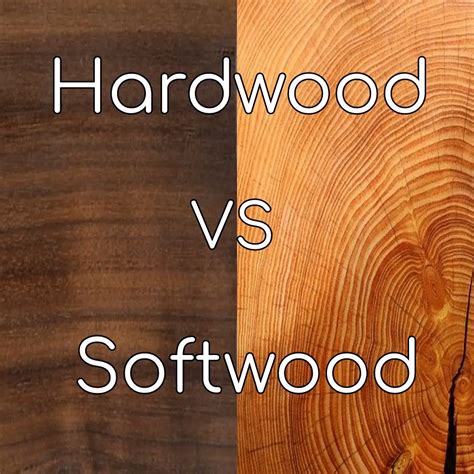 Hardwood Vs Softwood The Not So Obvious Difference Mainly Woodwork