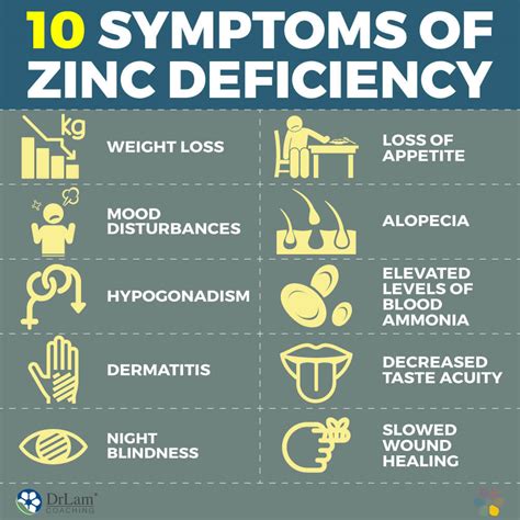 Zinc deficiency is a common problem throughout the world that contributes to many unwanted health problems. Zinc Health Benefits: Food and Supplements You Need to ...