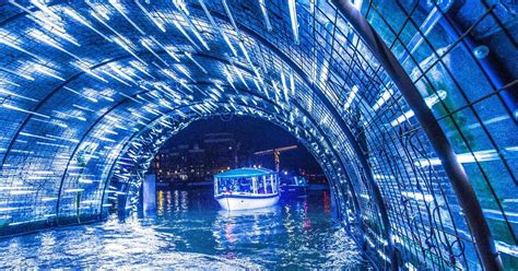Amsterdam Light Festival Boat Tour With Unlimited Drinks In 2020
