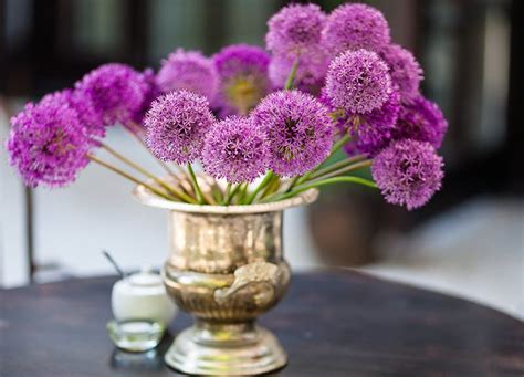 What flowers last the longest in a vase. What Grocery Store Flowers Last the Longest? - PureWow