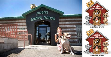 Celebrating 10 Years Of Noahs Animal House