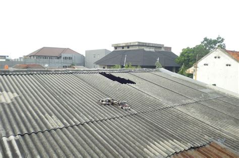 Dan istimewa dari asbes adalah karena dapat bertahan puluhan tahun sebagai pelindung dan pelapis atap gedung dari terjangan hujan, terik matahari dan angin. Dinas Lingkungan Larang Warga Cimahi Tak Lagi Gunakan ...