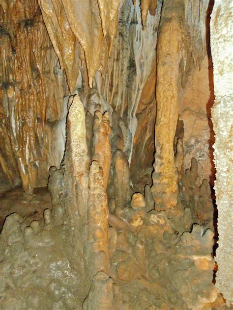 Cave Formations Florida Caverns State Park Cave Columns Steven