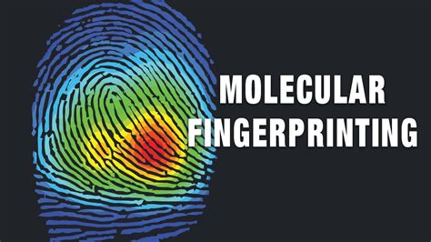 A Teem Molecular Fingerprinting Youtube