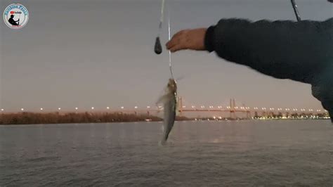 Pesca Variada Con Suscriptor Que Nos Cambio La Suerte Youtube